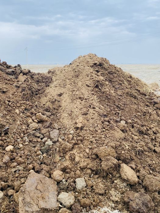 Сиырдын навозы(көңі) сатылады