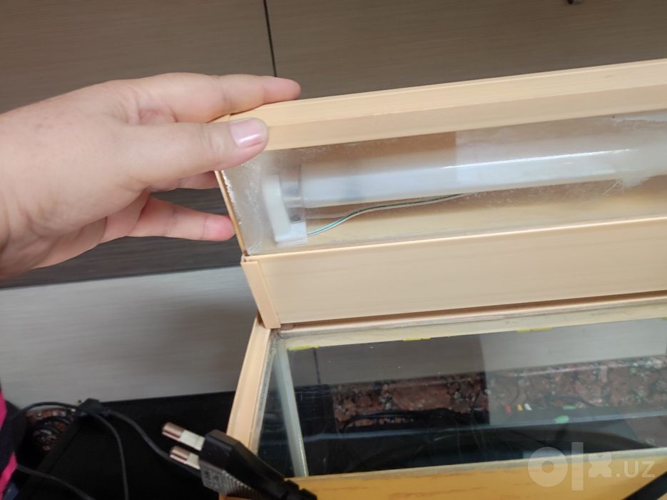 Аквариум из Кареи с со светом