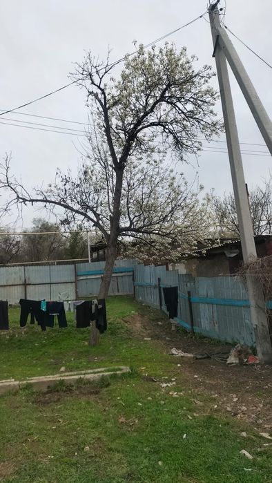 Үйтас дачасында үй сатылымда!