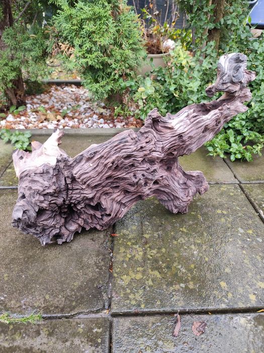 Lemn decor pentru acvariu