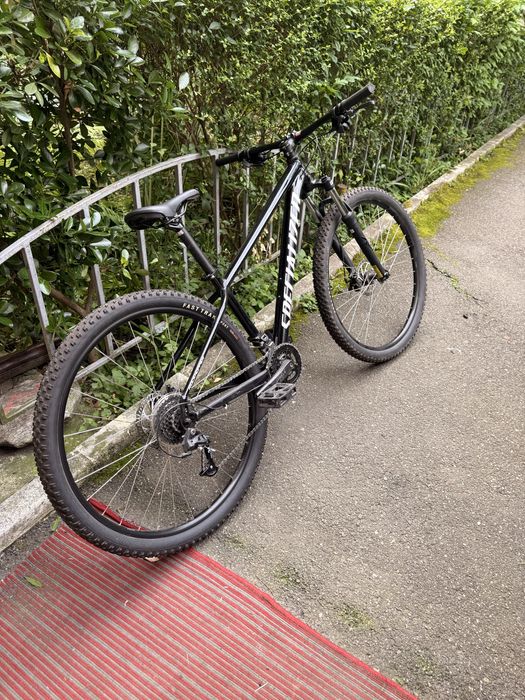 Specialized Rockhopper 29” Cadru M