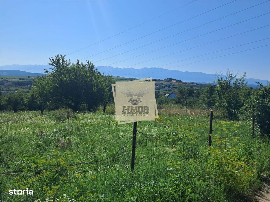 Teren Intravilan 960 mp Daia Noua