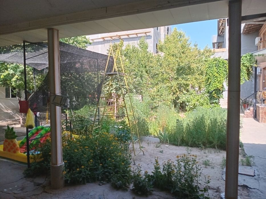 Olmazor tumani mevazorda 8 sotix