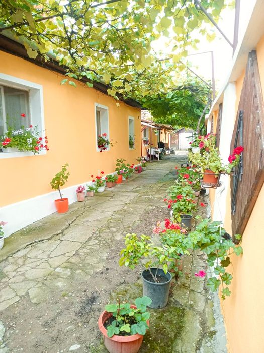 Vând casă în comuna Sânmartin