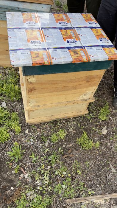 Продавам кошер за пчели