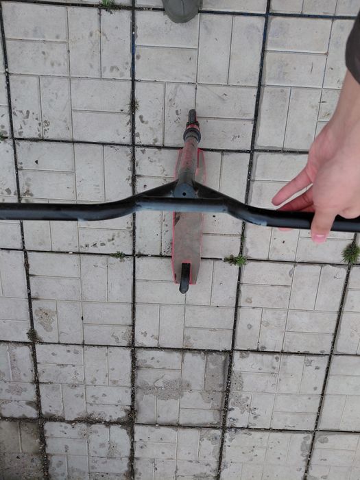 Самокат крассный