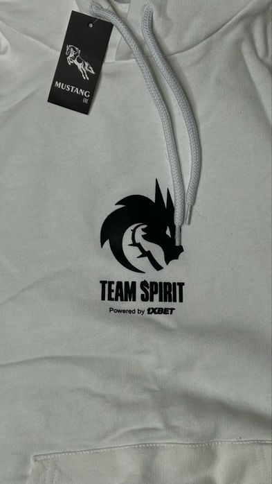 Продам худи Team Spirit