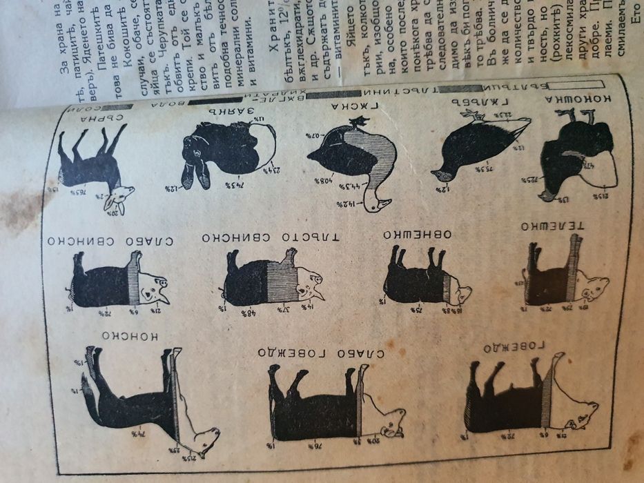 Стара готварска книга от началото на 20 век