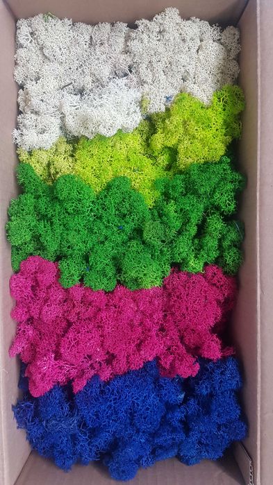 Скандинавски мъх 6 лв. за 100 г.