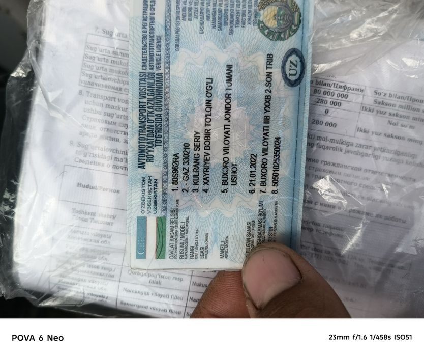 Gazel seriy holati yacshi