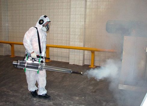 Обезпаразитяване на подпокривни пространства. Пръскане срещу хлебарки.