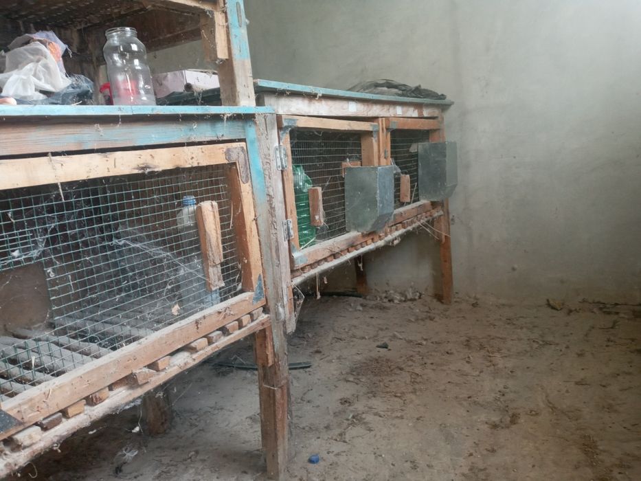 Клетки для кроликов Куёнлар учун кафас