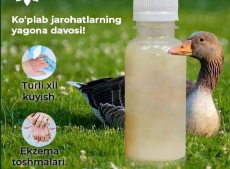 Гоз ёги (тоза домашние) Хасанбойда