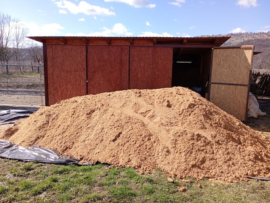 Disponibile pentru dvs, cuburi de lemn masiv de stejar, deșeuri pentru foc , rumeguș de stejar și brichete de rumeguș! calitate superioara!