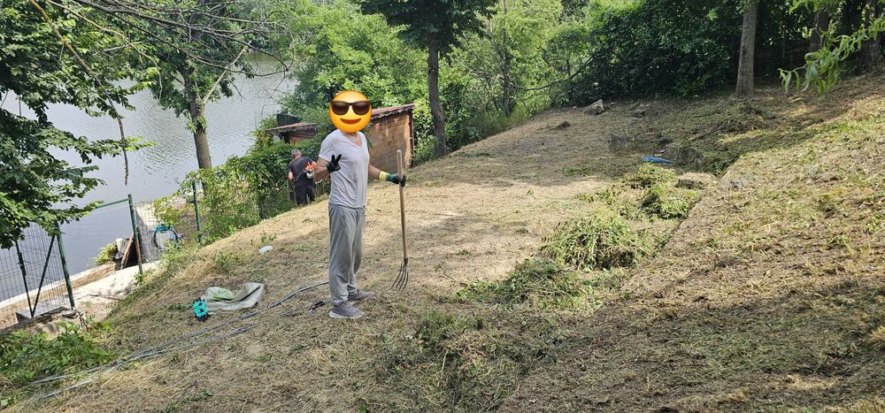 Amenajări Exterioare și Spații Verzi | Servicii Complete în București Nord / Ilfov)