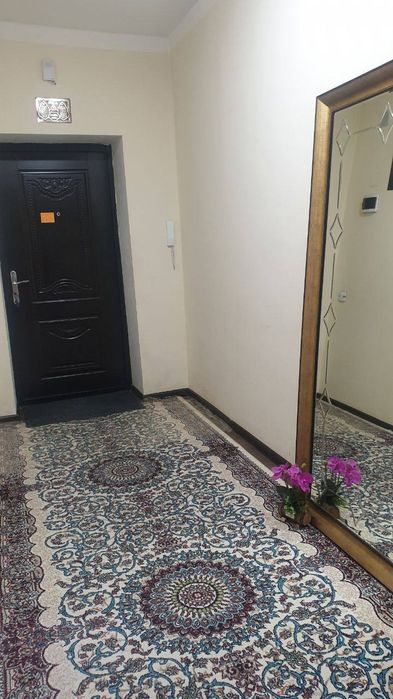 Sergli 9 xudud arentir 66 palkninka