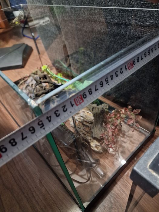 Acvariu complet echipat 100 litri