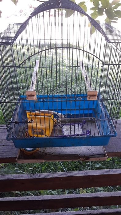 Colivie de păsărele