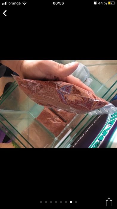 Hrana de calitate cu pigment . Tetra diskus