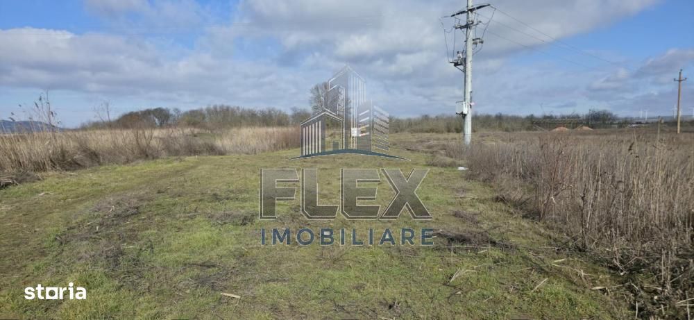 Teren intravilan Delta Dunarii 38300 mp