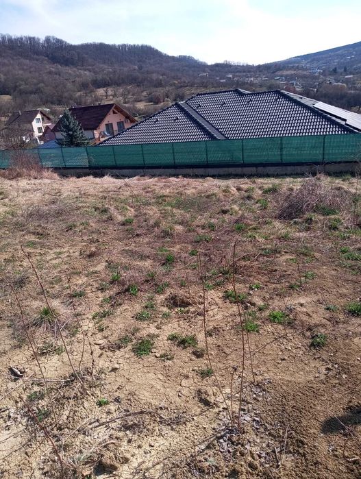 Vând teren intravilan strada Codrului Nr 17D Bistrița