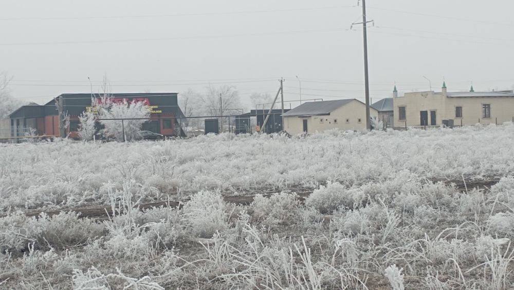 Жер участок Арай Мектеп