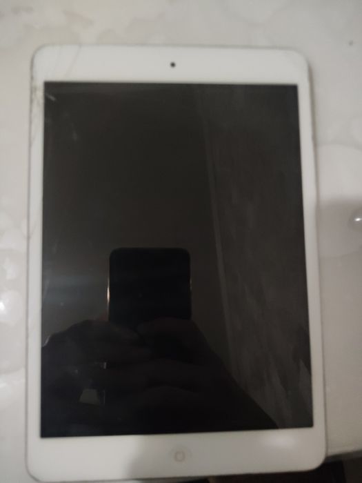 iPad mini 1-го поколения