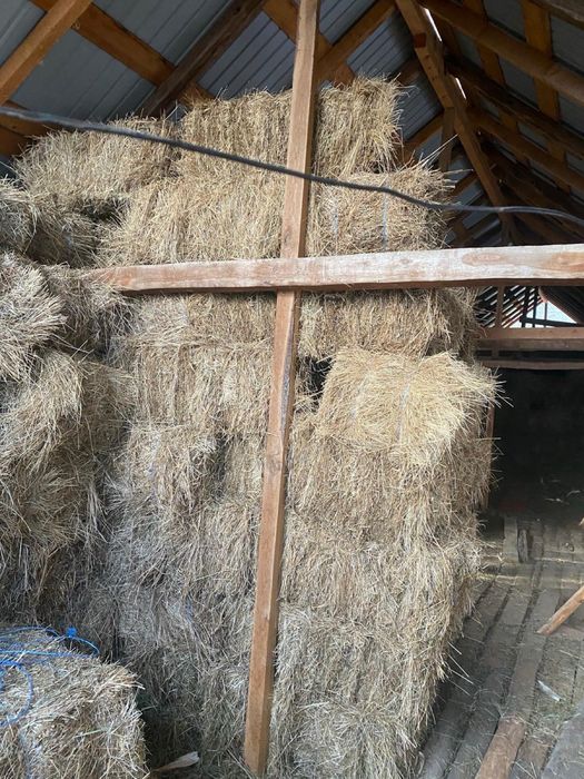 Vand baloti fan calitatea1 depozitati in conditii