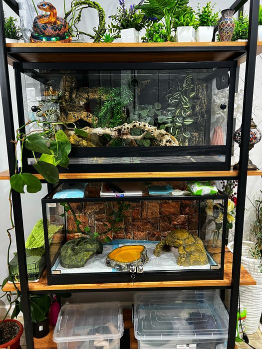 Продам террариум