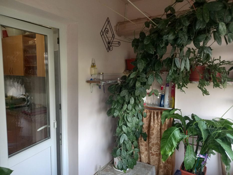 Apartament 2 camere, 50 mp, zona Cornitoiu