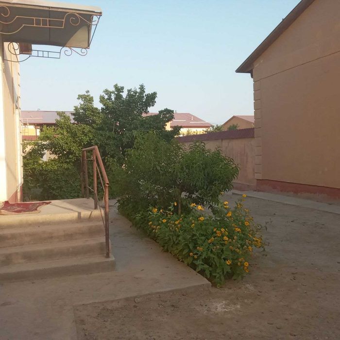 Экологический чистый дом