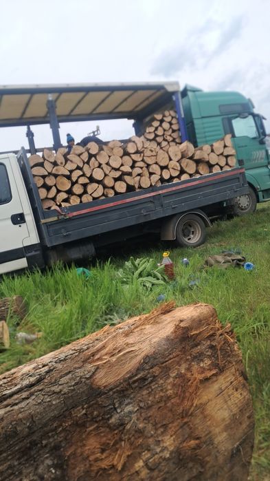 De vânzare lemn de foc stejar uscat!
