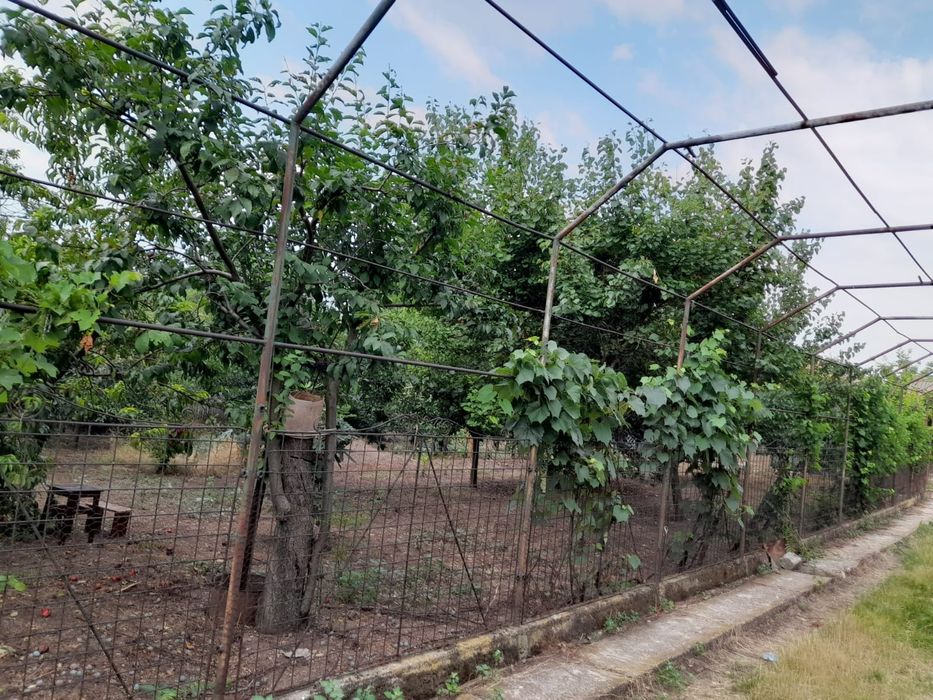 Vând casa și teren