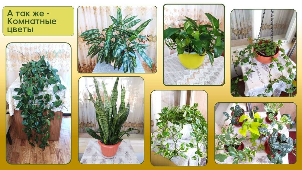 Стеллаж стеклянный с подсветкой.