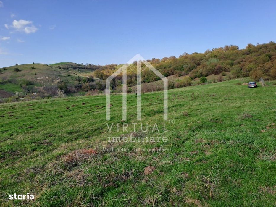 Teren extravilan de vanzare 15,600 mp zona loc... Hamba