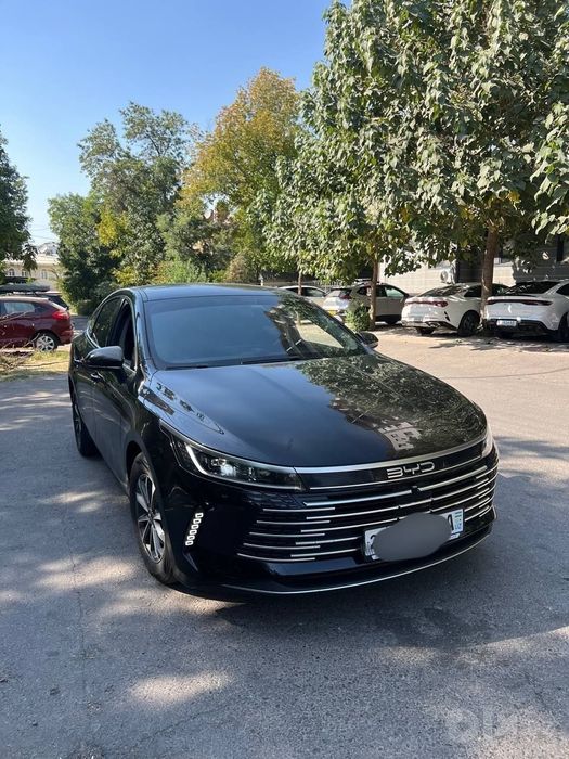 Byd chazor 55 km.