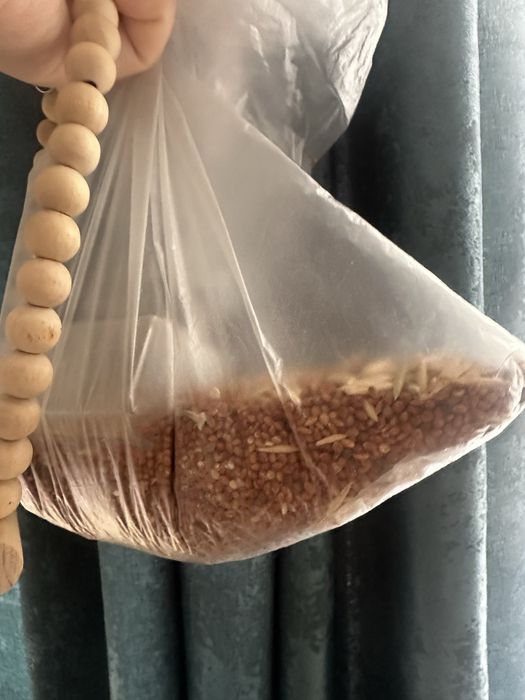 Клетка для волнистых попугаев