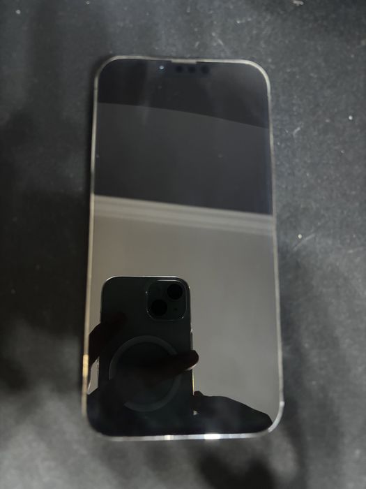 Iphone 13 Pro Max 256gb