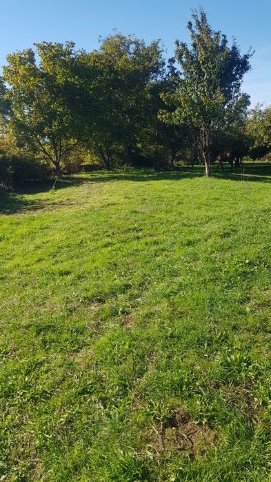 Продава имот в гр.Сапарева баня