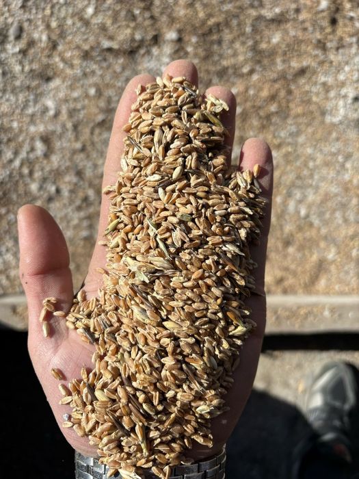 Отходы.Корма.Платный чат!