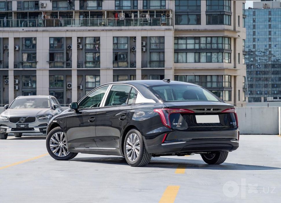 Hongqi E-QM5 Black and White