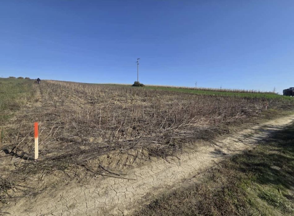 Teren Intravilan 5000mp, Catamaresti-Deal, Botosani.