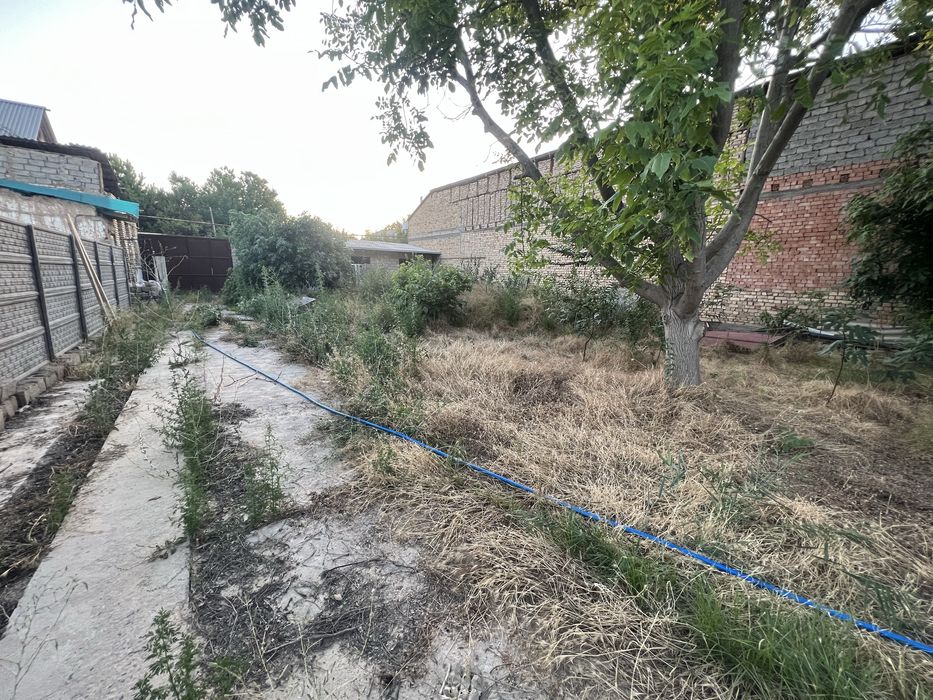 Алмазарский район Мевазор махалласи 5 соток ер майдони