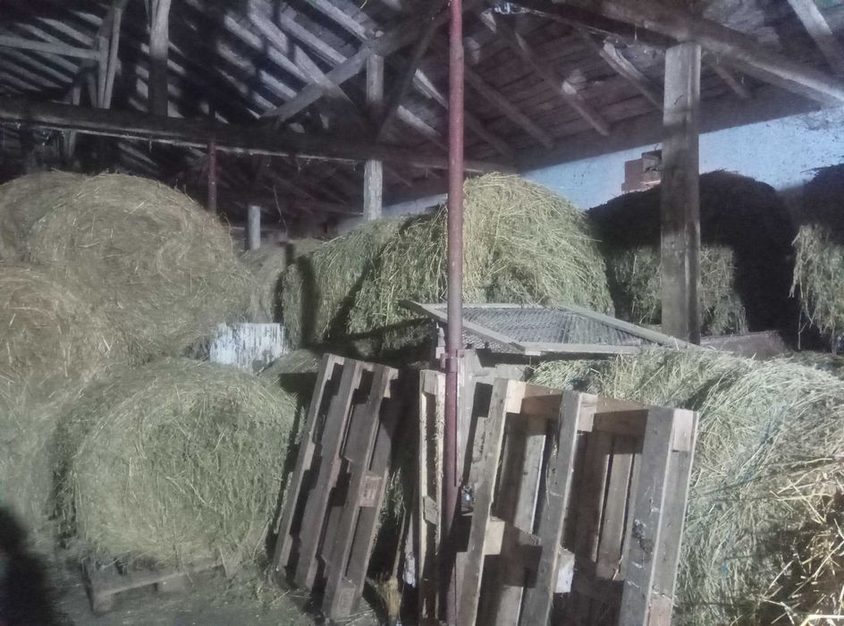 Продавам бали люцерна и слама