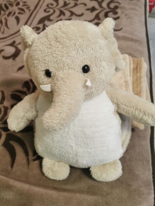 Ghiozdanel cu păturica