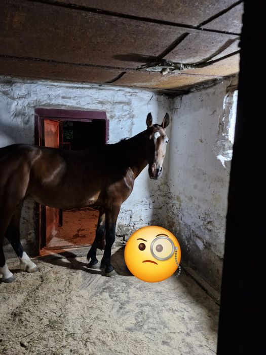 Находимся в Темиртау