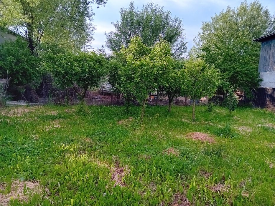 Casă de vânzare Botoșani Str.Săvenilor  Nr.113