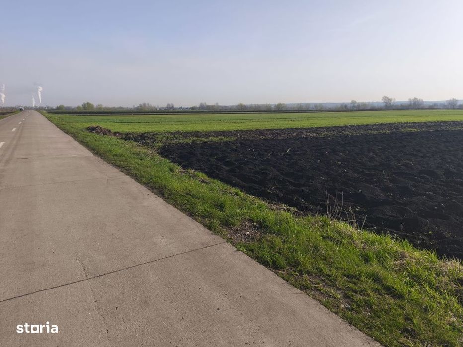 Teren extravilan, 9300mp, 55ml deschidere la drum, Satu Mare, Radauti