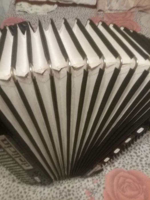 Acordeon delicia casoto 2x2