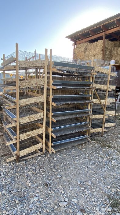 Клетка для перепрлов 10000